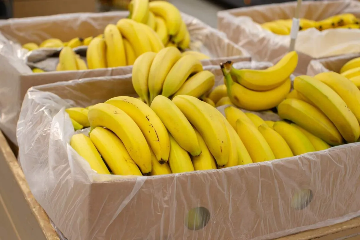 Het geheim om bananen langer lekker te houden
