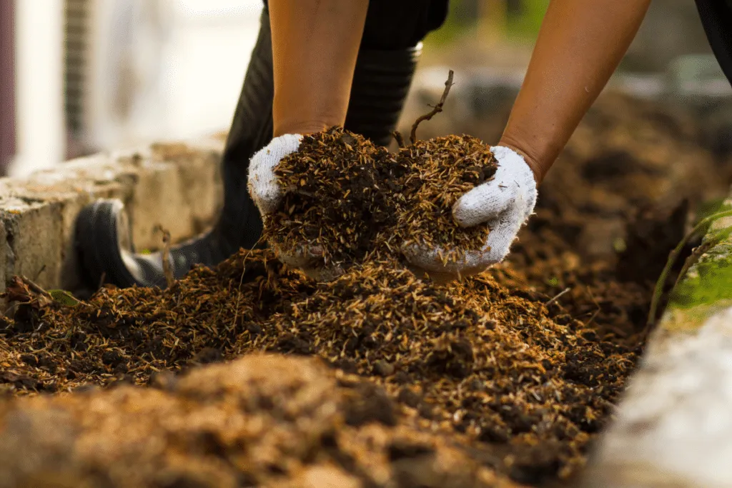Versneld composteren: natuurlijke oplossingen voor een vruchtbare tuin