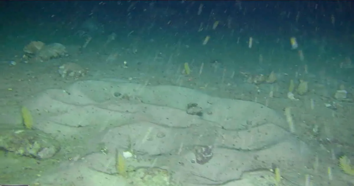 Ontdekking van de Endurance en de geheime onderwaterwereld van de Weddellzee