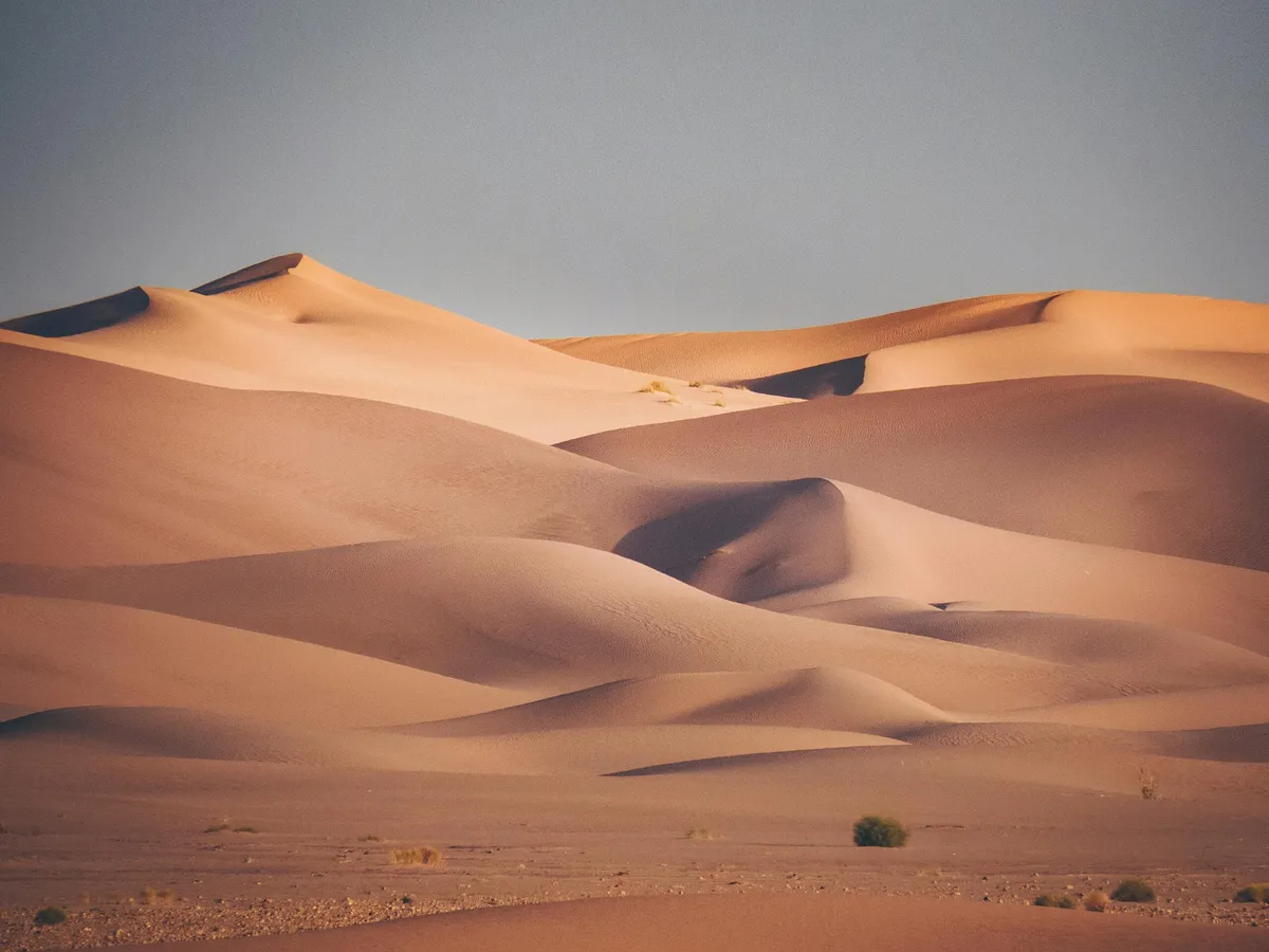 Klimaatverandering in de Sahara: Een Toekomst vol Regen