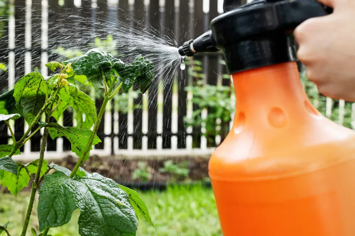 Effectieve huishoudproducten tegen onkruid: de rol van afwasmiddel en schoonmaakazijn