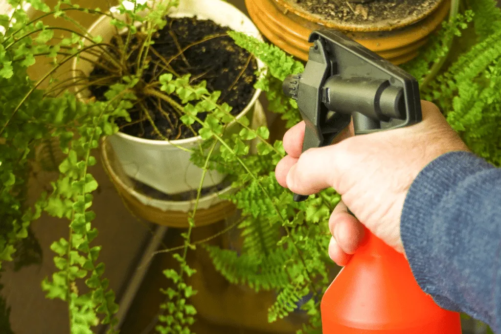 De magie van zwarte zeep in de tuin